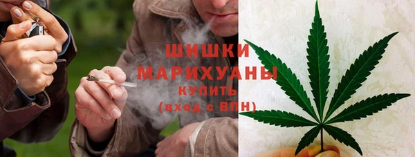 ГАЛЛЮЦИНОГЕННЫЕ ГРИБЫ Алексин