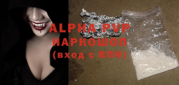 стафф Надым