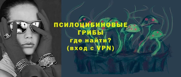 ГАЛЛЮЦИНОГЕННЫЕ ГРИБЫ Алексин
