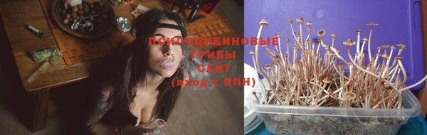 PSILOCYBIN Алзамай