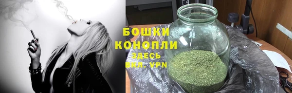 PSILOCYBIN Алзамай