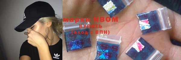 PSILOCYBIN Алзамай